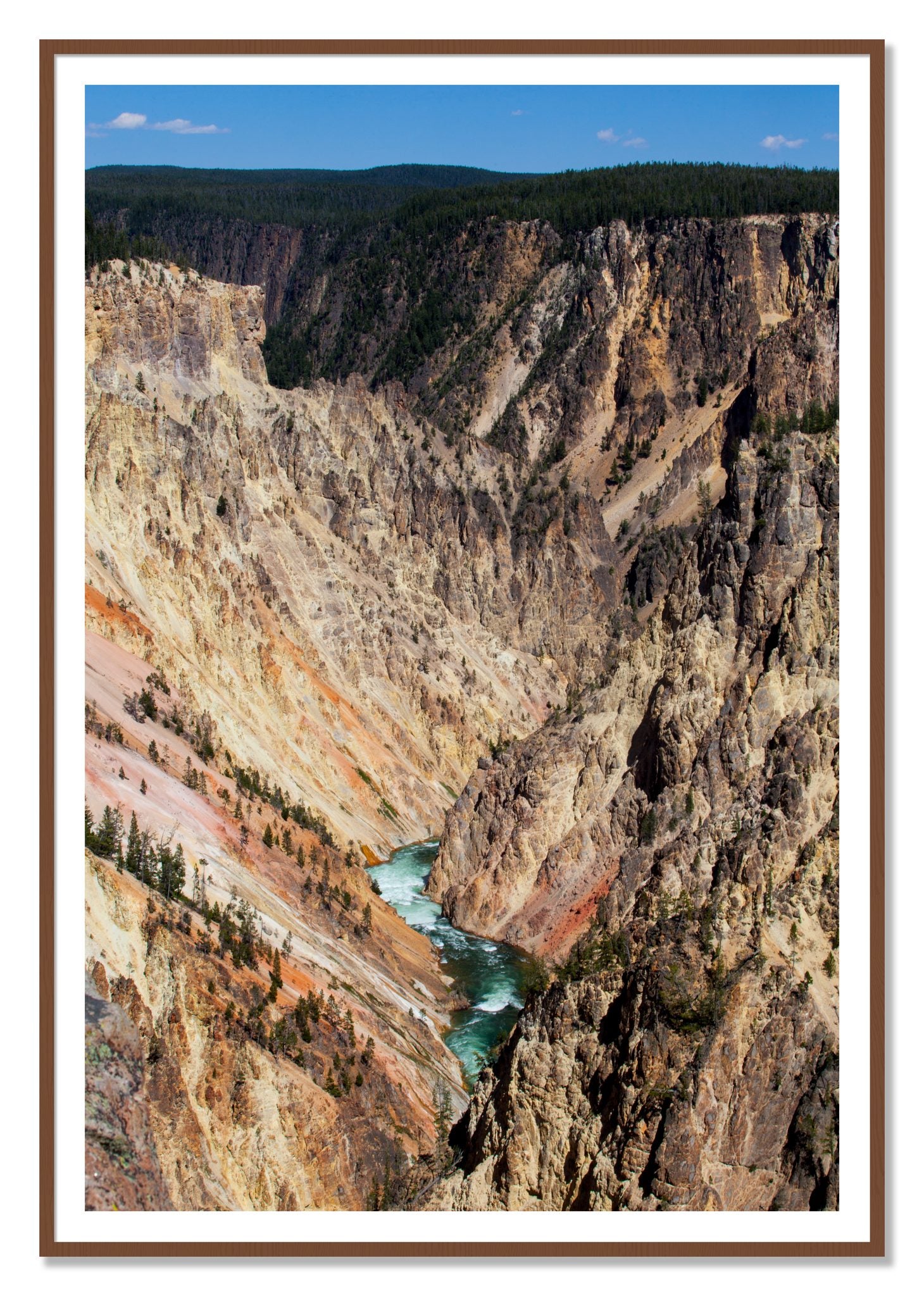 Yellowstone Canyon by Dylan Ozanich, 48×72 print with a White Border in a Walnut frame
