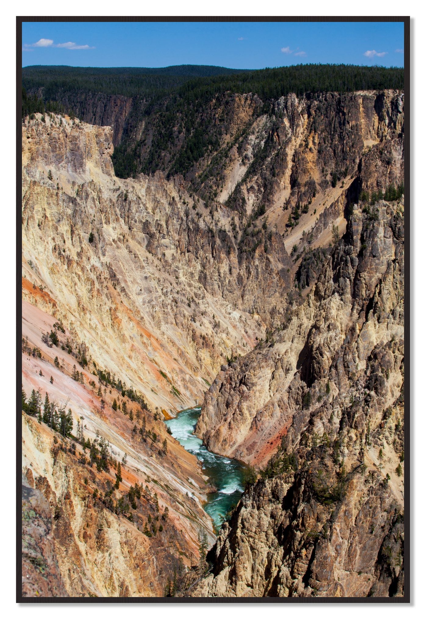 Yellowstone Canyon by Dylan Ozanich, 48×72 Full Bleed Print in a Black Walnut frame