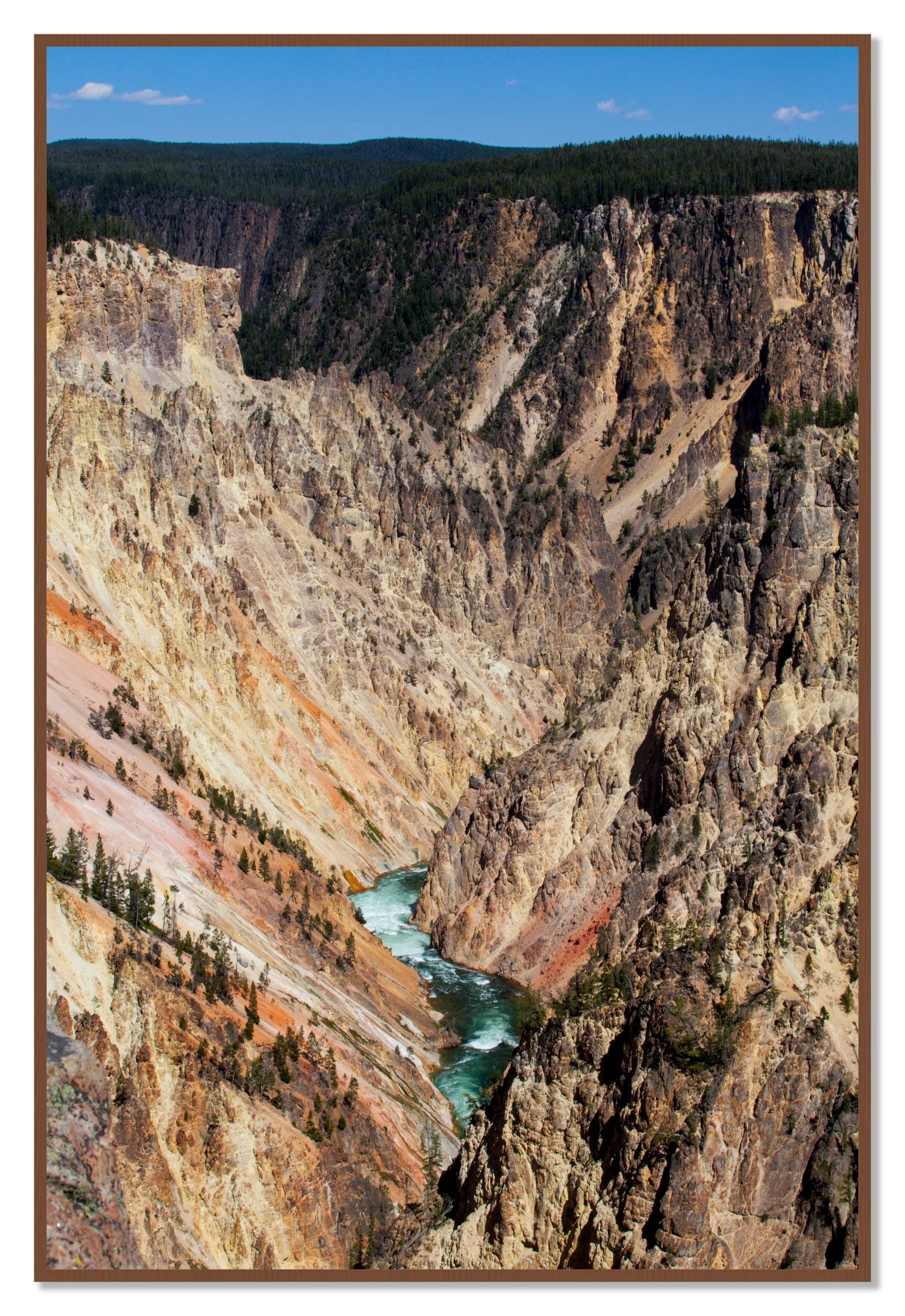 Yellowstone Canyon by Dylan Ozanich, 48×72 Full Bleed Print in a Walnut frame