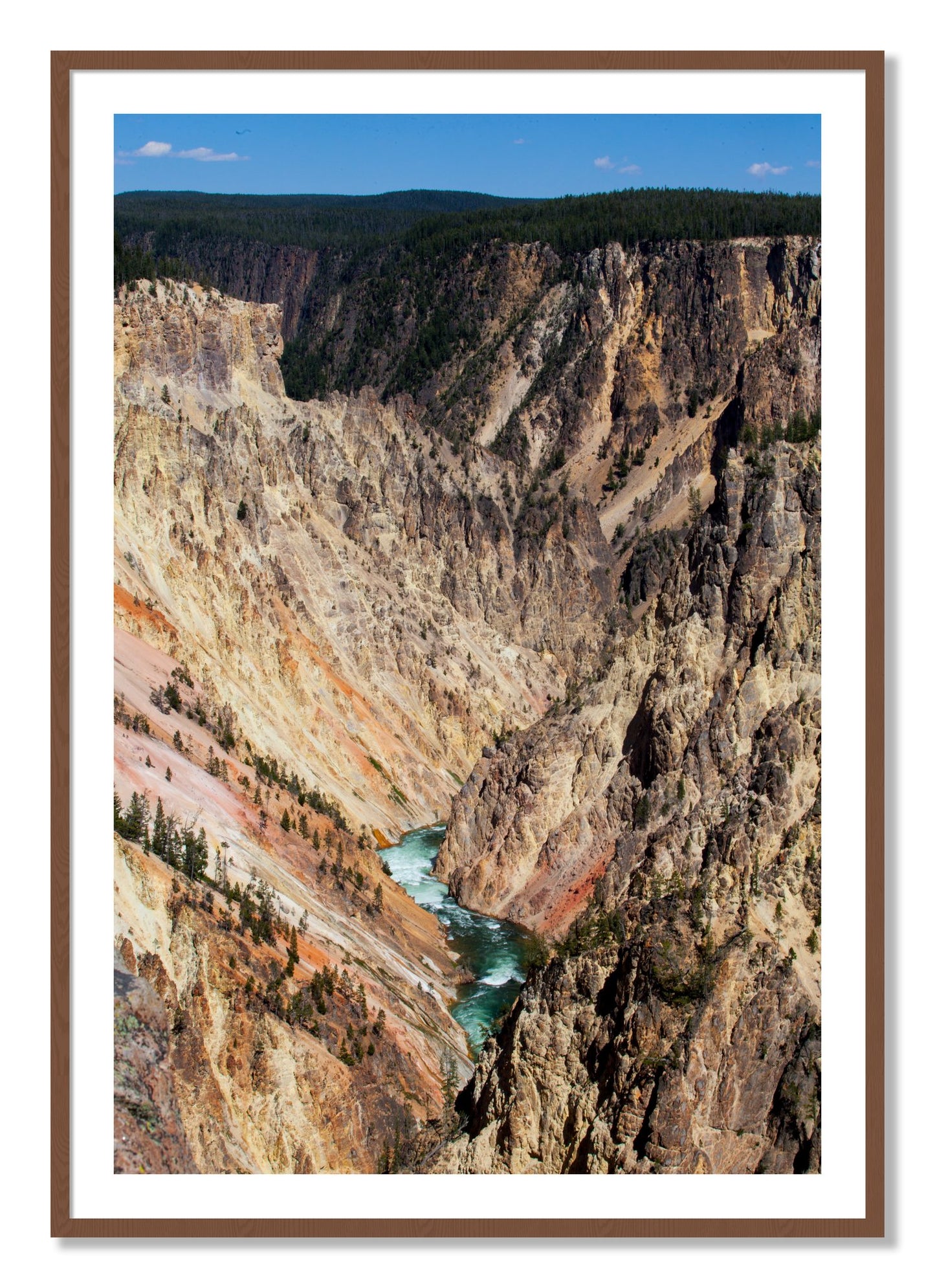 Framed photograph of Yellowstone Canyon by Dylan Ozanich, Walnut frame, Borders