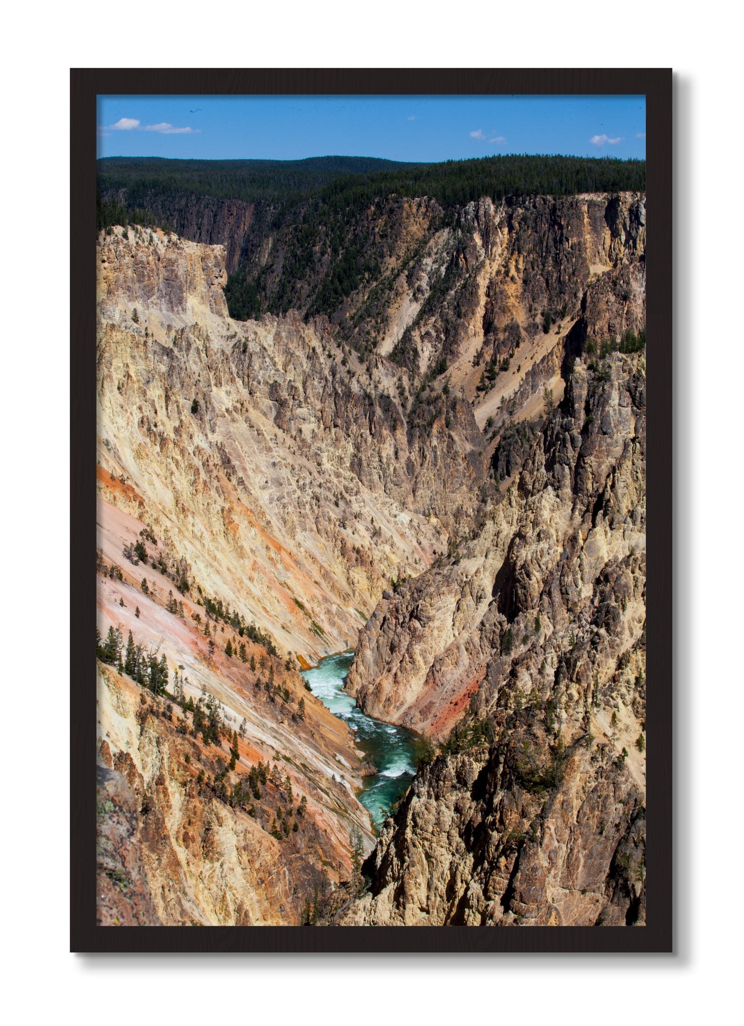 Framed photograph of Yellowstone Canyon by Dylan Ozanich, Black Walnut frame, Full Bleed