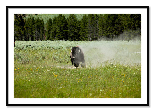 Framed photograph of Yellowstone by Dylan Ozanich, Black frame, Borders