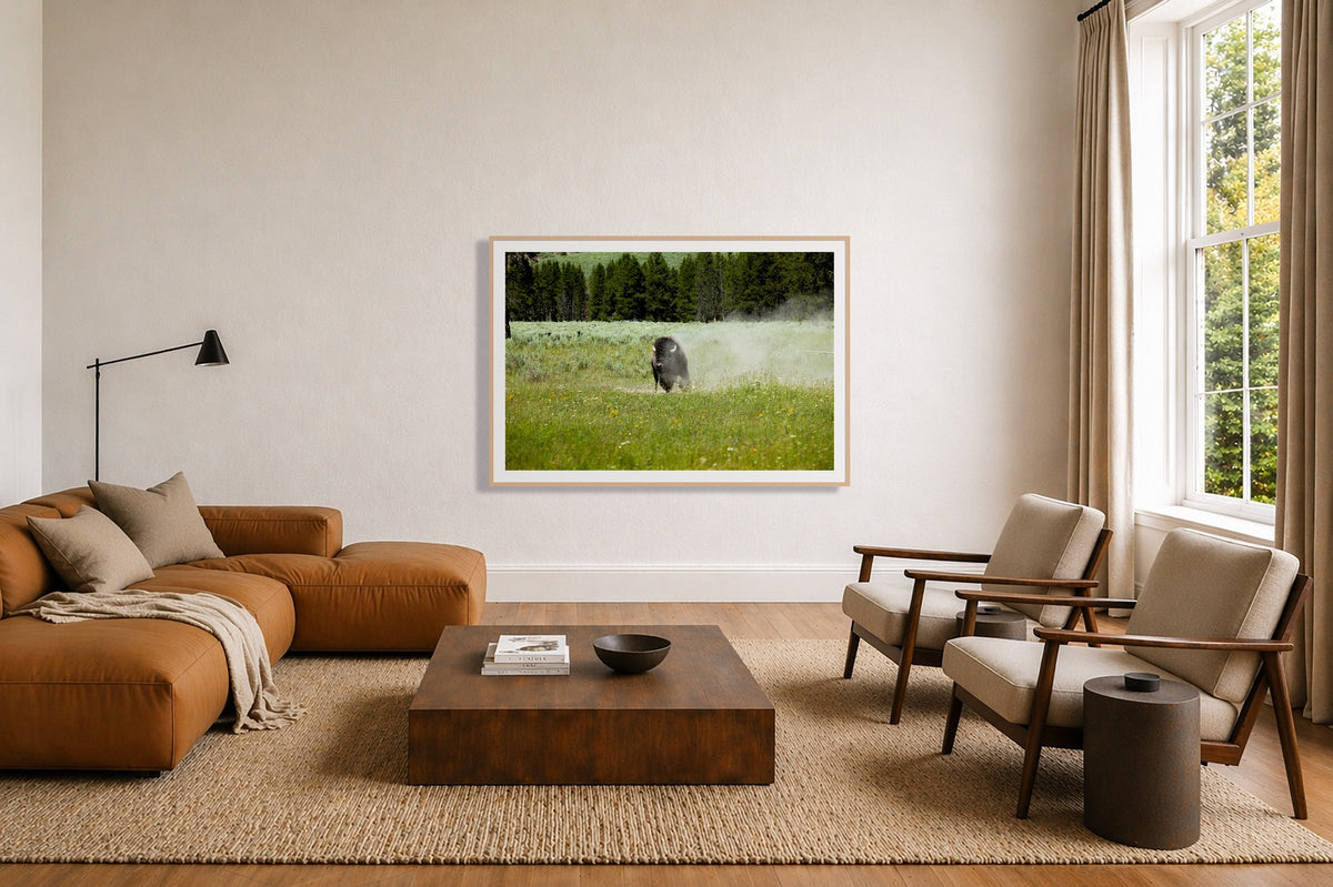 Yellowstone in a room