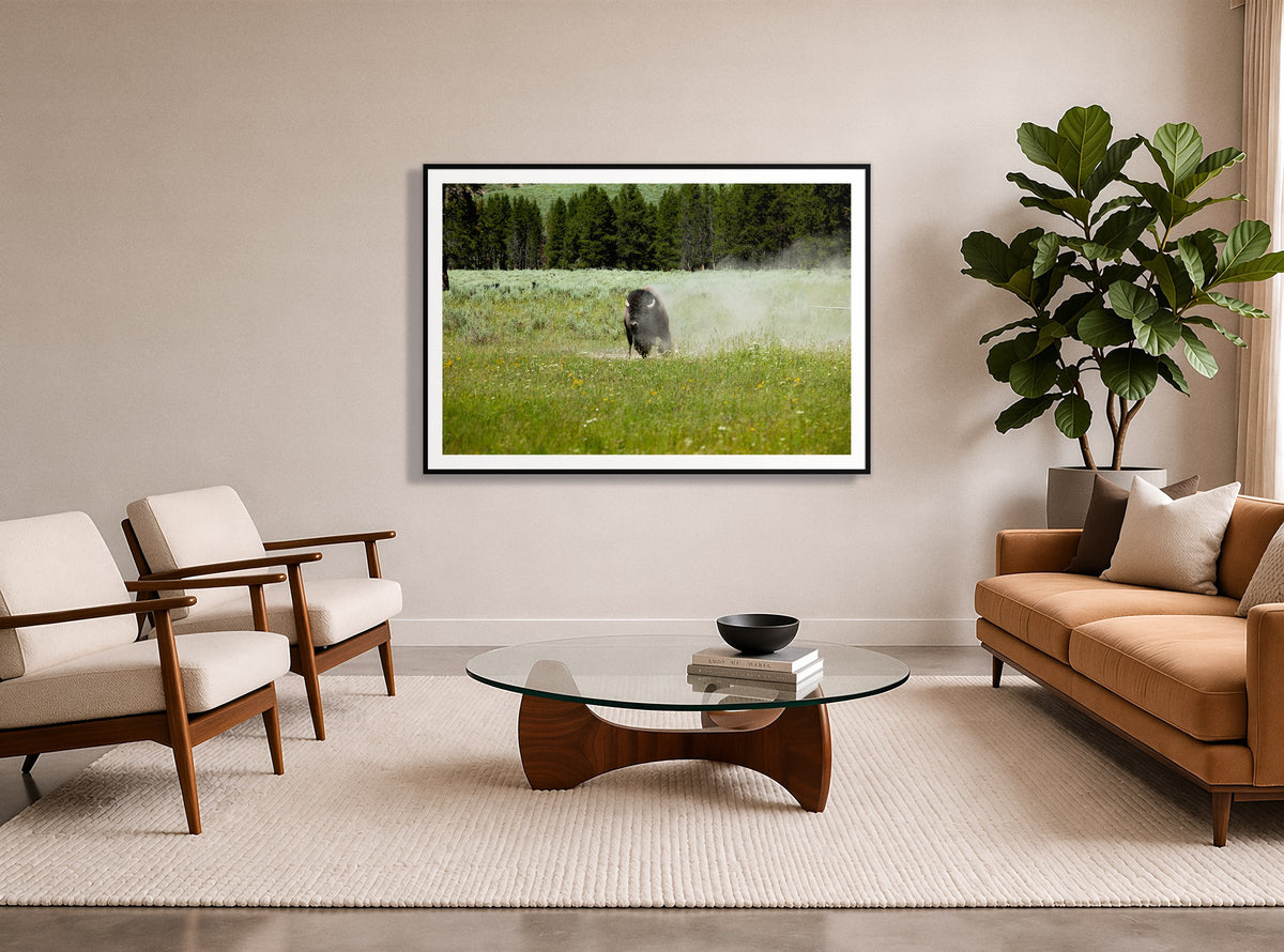 Yellowstone in a room