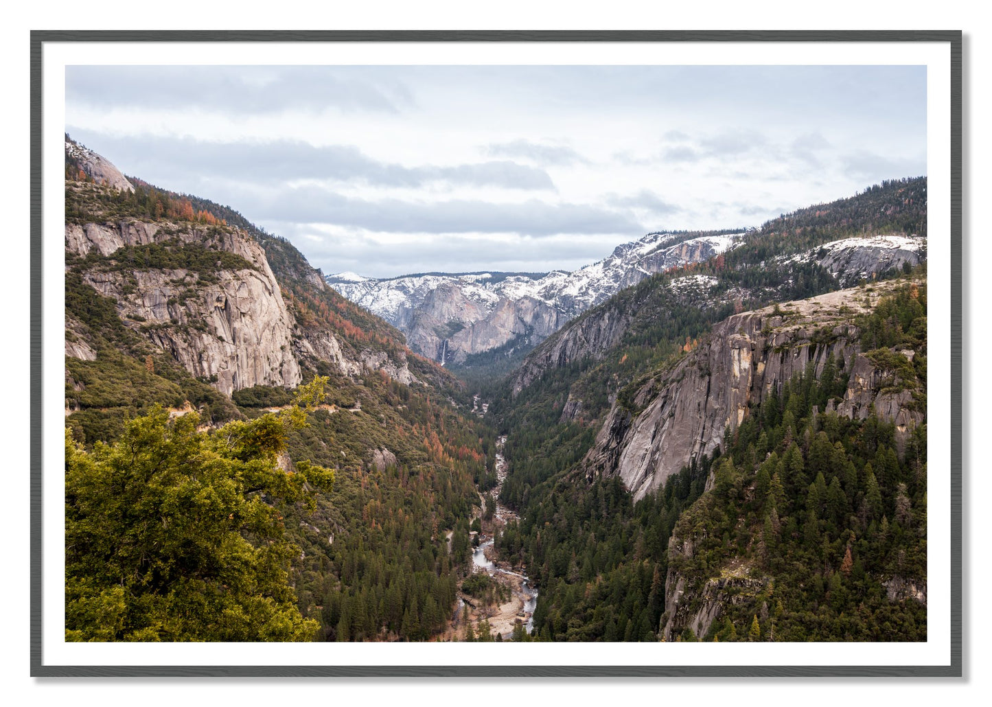 Yosemite Valley by Dylan Ozanich, 48×72 print with a White Border in a Grey frame
