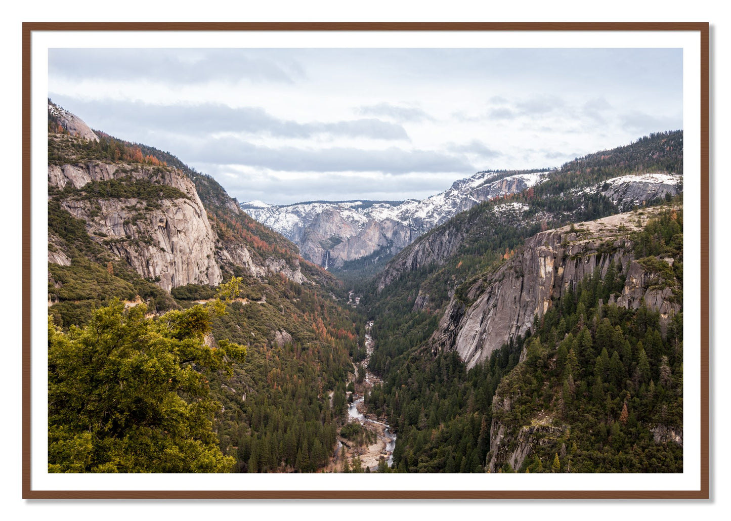 Yosemite Valley by Dylan Ozanich, 48×72 print with a White Border in a Walnut frame