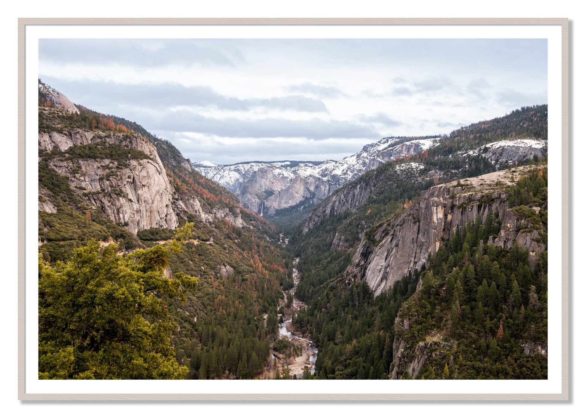 Yosemite Valley by Dylan Ozanich, 48×72 print with a White Border in a White Maple frame