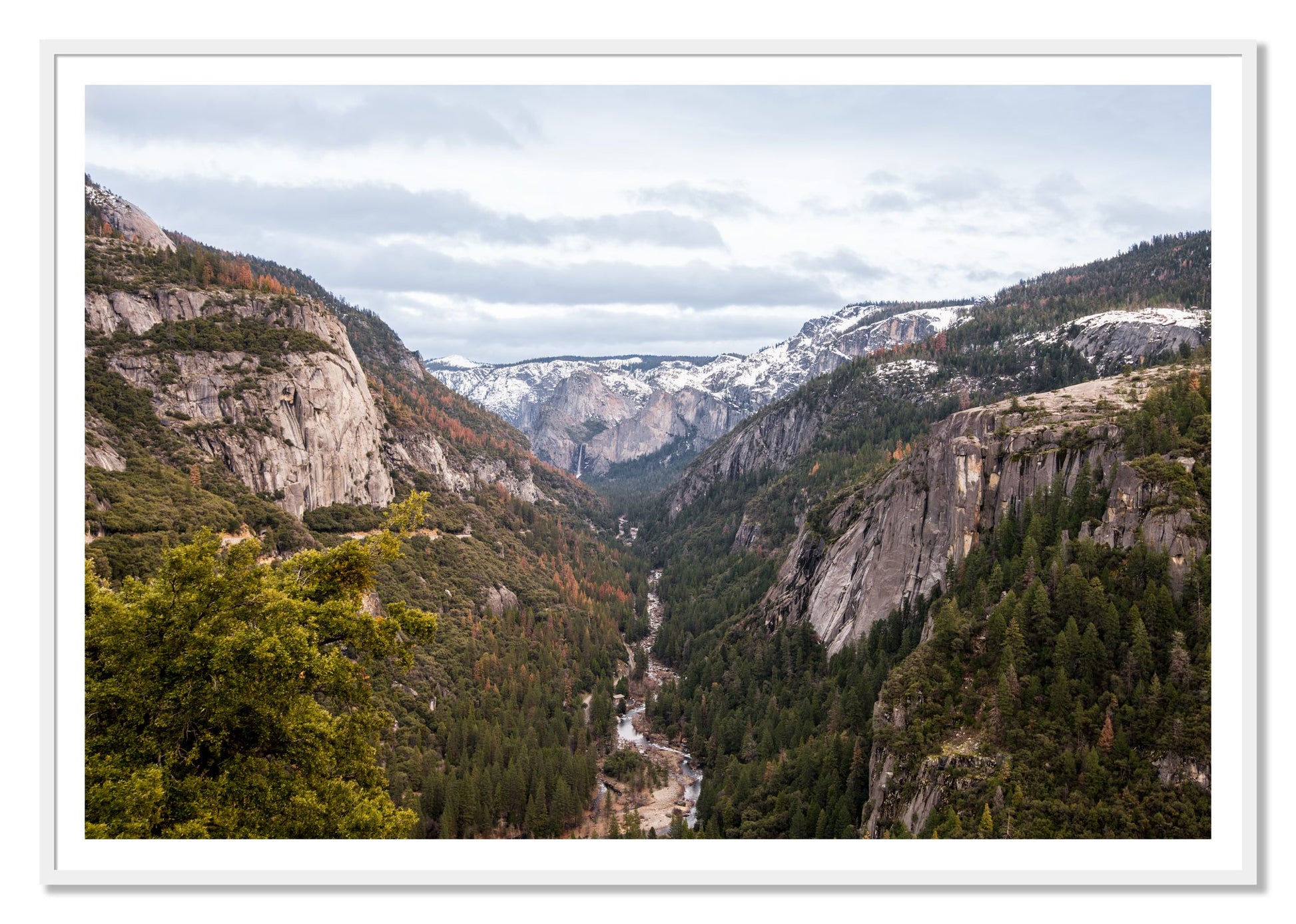 Yosemite Valley by Dylan Ozanich, 48×72 print with a White Border in a White frame