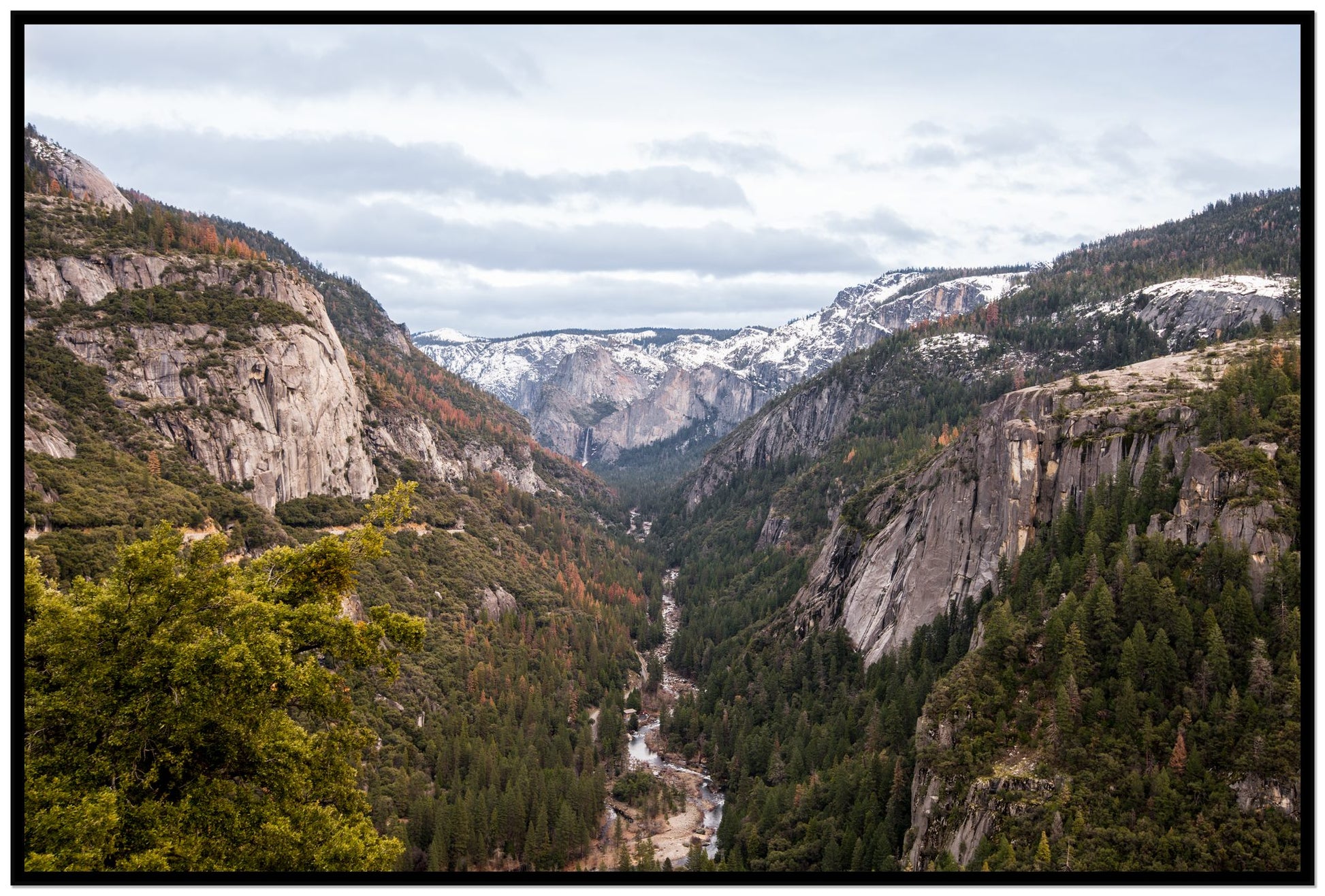 Yosemite Valley by Dylan Ozanich, 48×72 Full Bleed Print in a Black frame