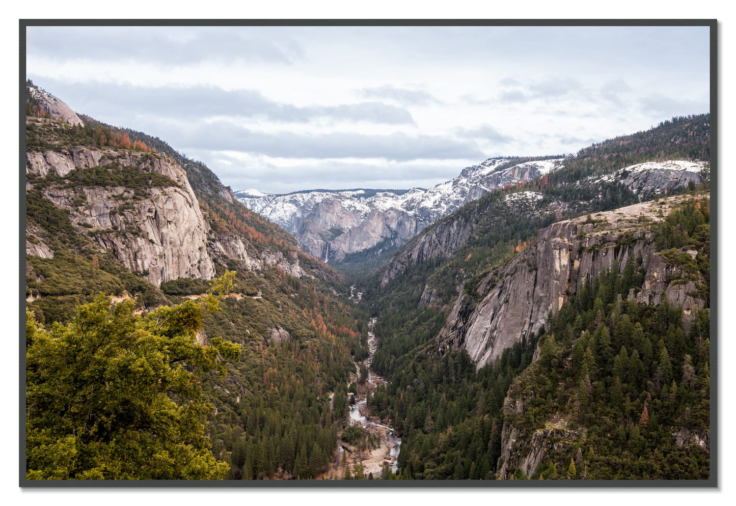 Yosemite Valley by Dylan Ozanich, 48×72 Full Bleed Print in a Grey frame