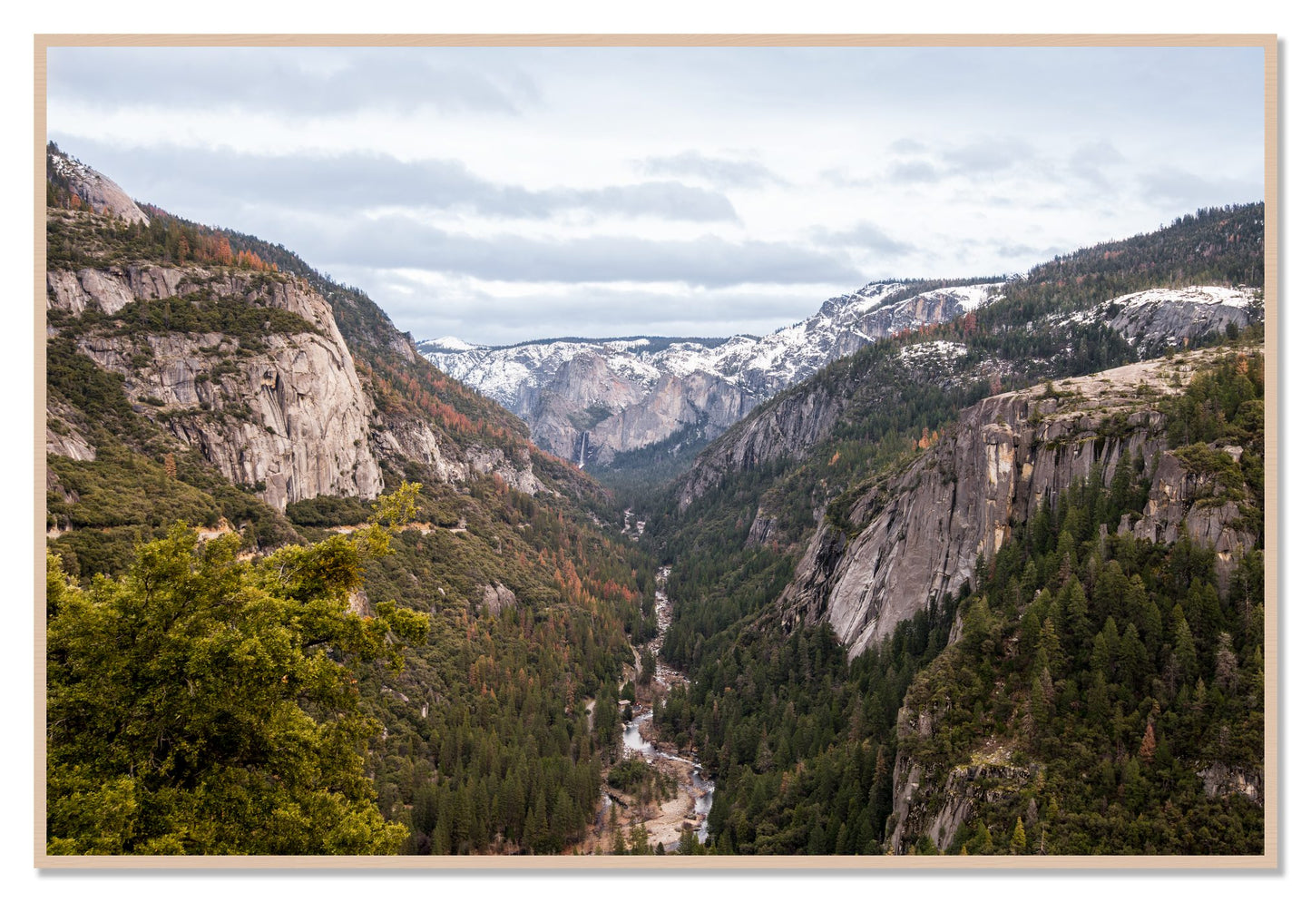 Yosemite Valley by Dylan Ozanich, 48×72 Full Bleed Print in a Maple frame