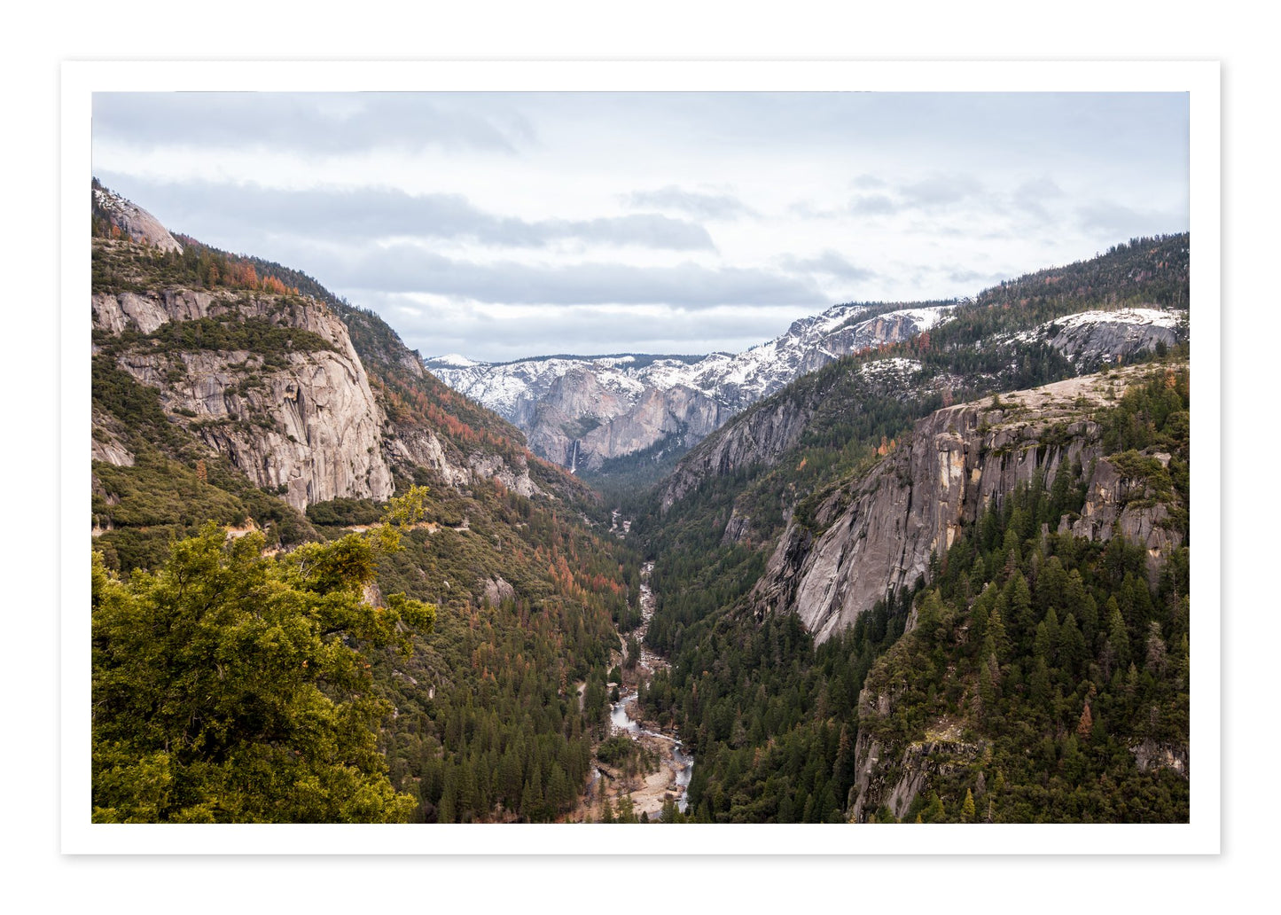 Yosemite Valley by Dylan Ozanich, 48×72 Fine Art Pigment Print on Hahnemühle Cotton Rag Paper, unframed