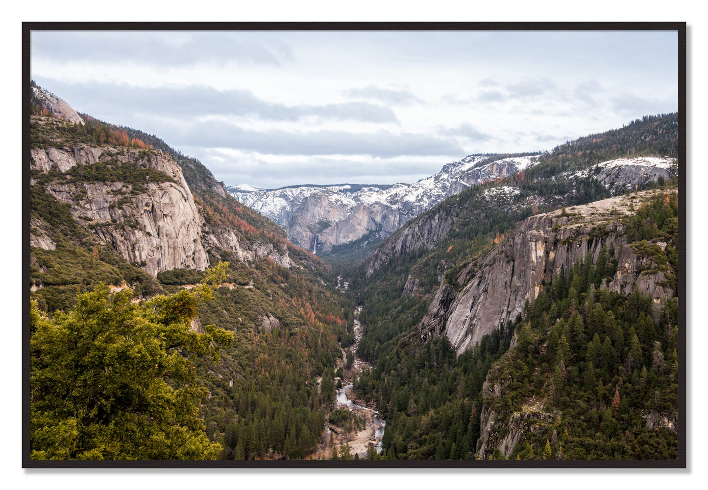 Framed photograph of Yosemite Valley by Dylan Ozanich, Black Walnut frame, Full Bleed