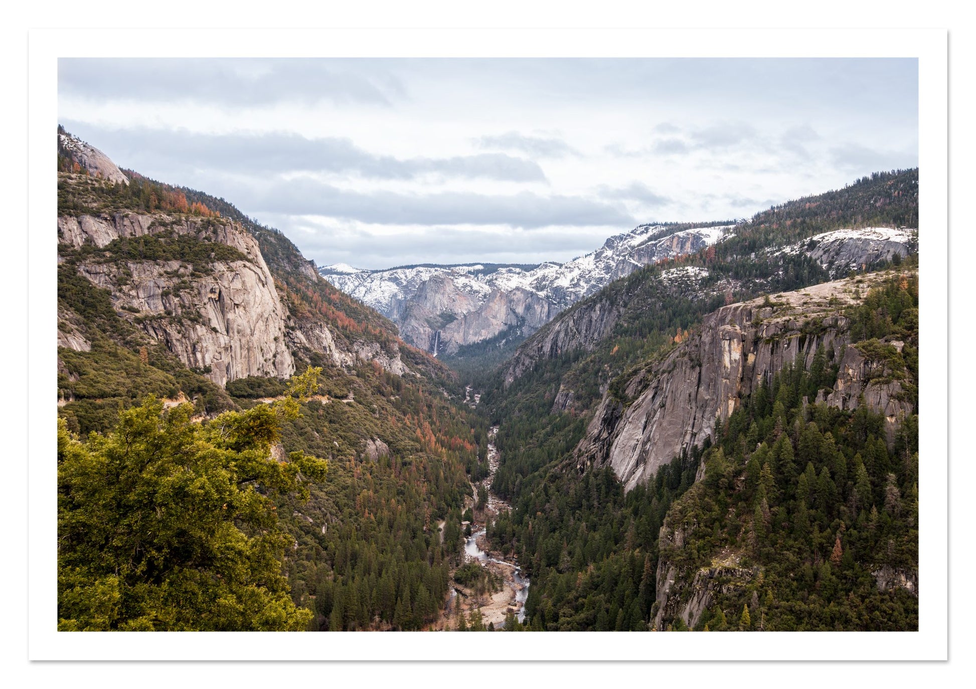 Fine art print of Yosemite Valley by Dylan Ozanich, unframed