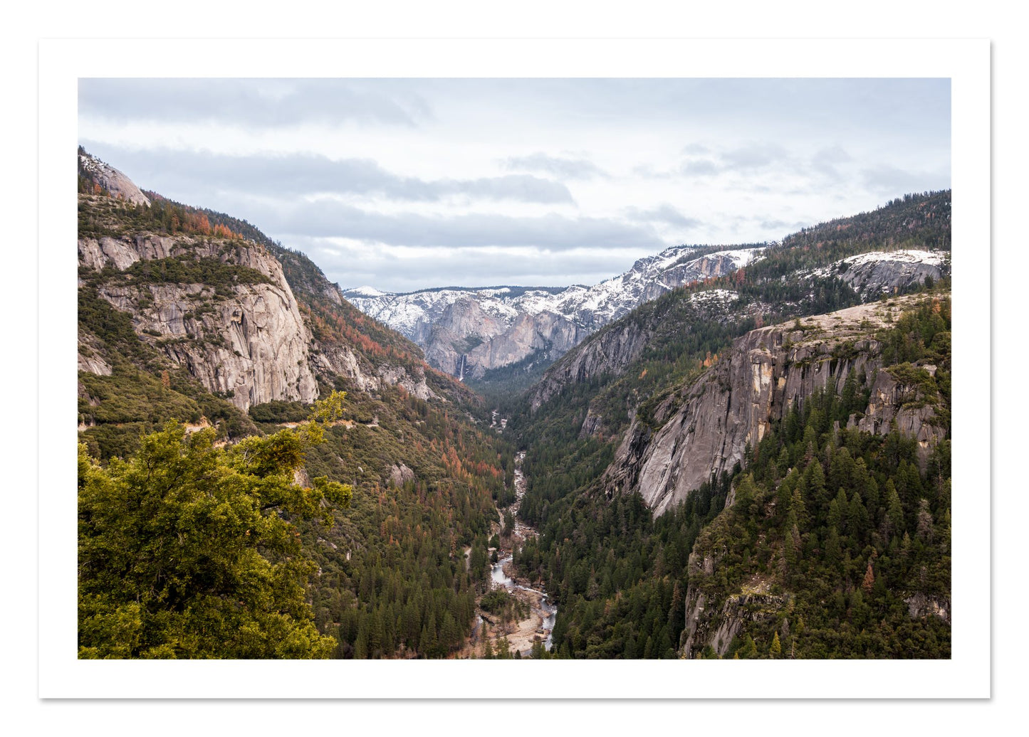 Fine art print of Yosemite Valley by Dylan Ozanich, unframed