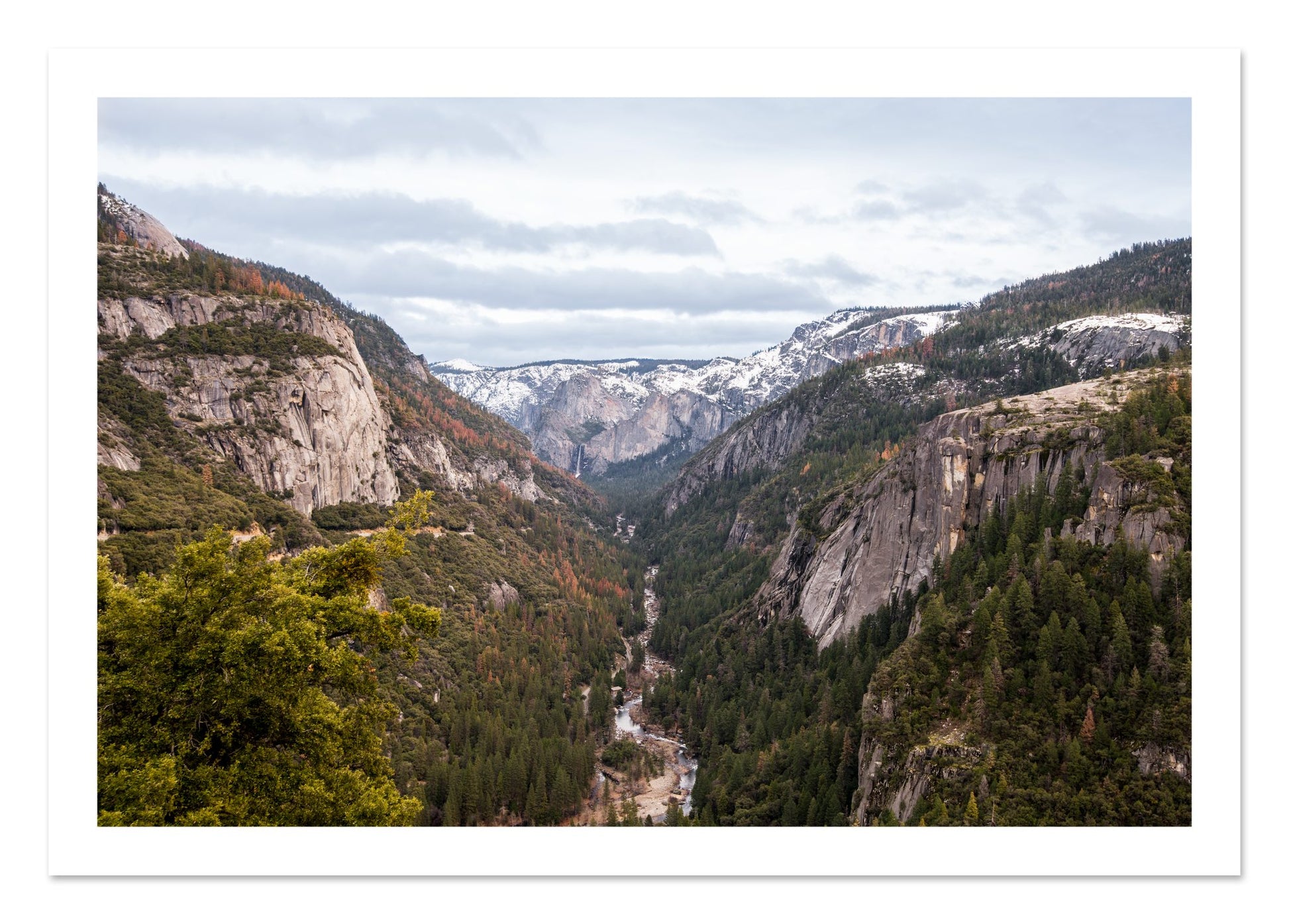 Fine art print of Yosemite Valley by Dylan Ozanich, unframed