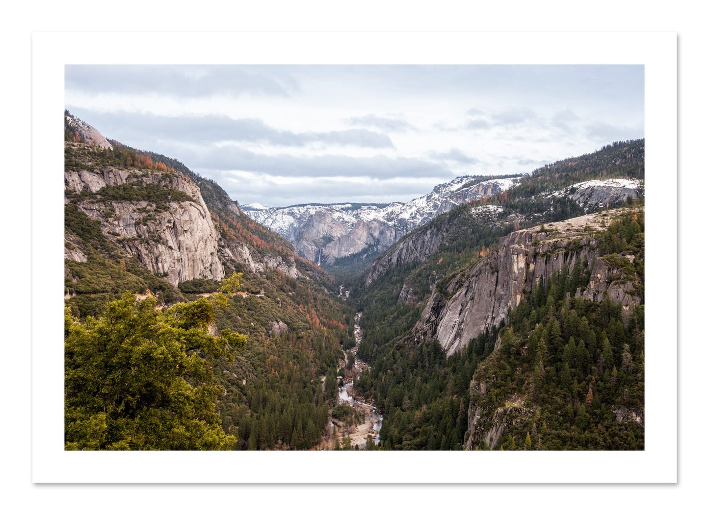 Fine art print of Yosemite Valley by Dylan Ozanich, unframed