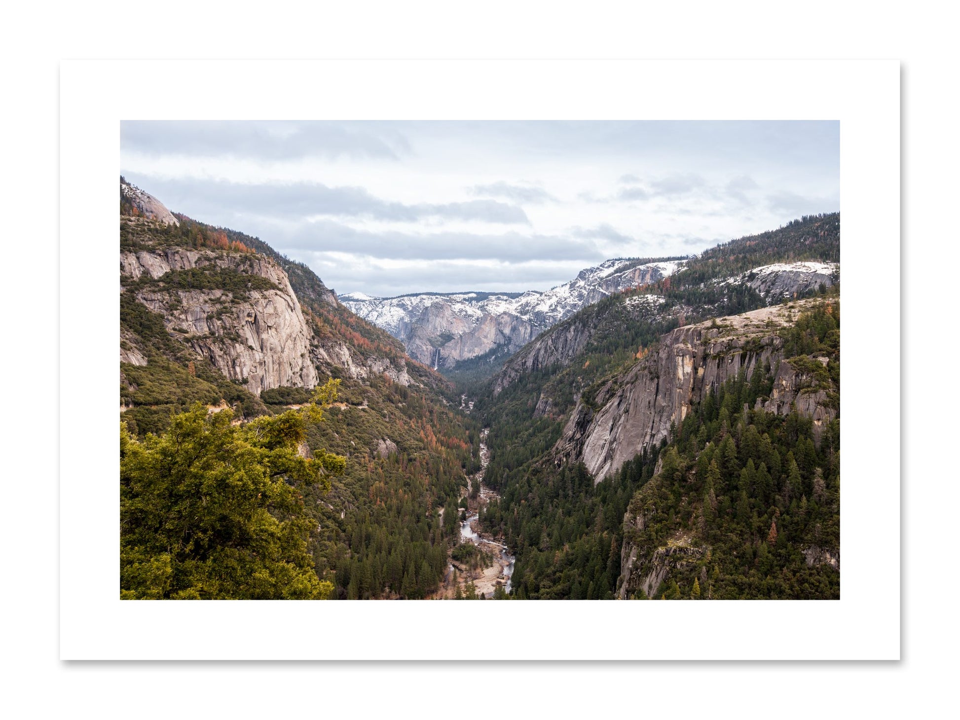 Fine art print of Yosemite Valley by Dylan Ozanich, unframed